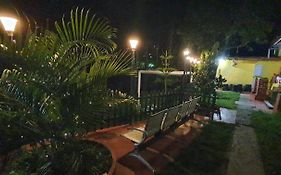 Kodai Vintage
